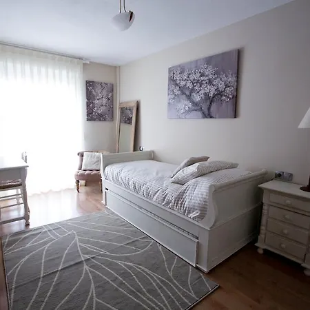 Center Luxury Apartment