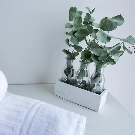 Center Luxury Apartment Alicante